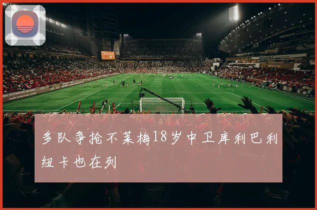 多队争抢不莱梅18岁中卫库利巴利纽卡也在列