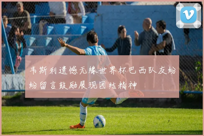 韦斯利遗憾无缘世界杯巴西队友纷纷留言鼓励展现团结精神