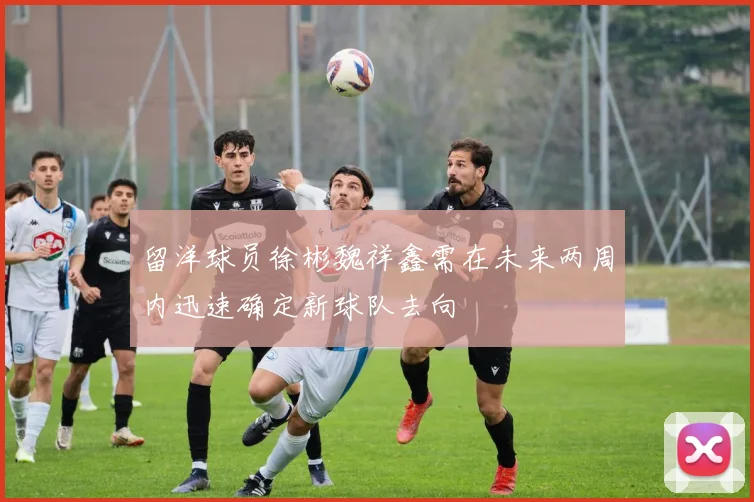 留洋球员徐彬魏祥鑫需在未来两周内迅速确定新球队去向